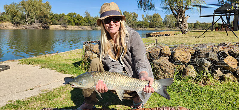 Umgede River Lodge - Bloemhof - grass carp