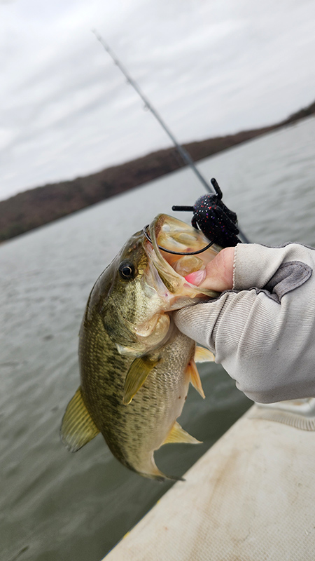 donkerpoort dam metsi metsi small bass