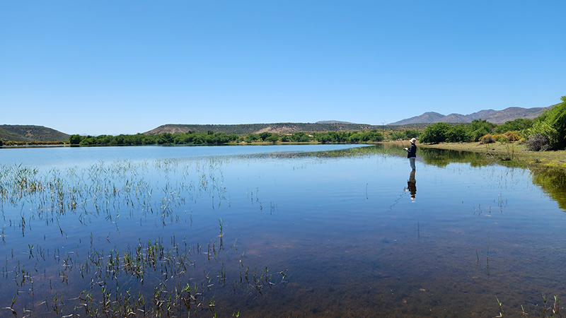 great escape oudtshoorn big dam fishing 2